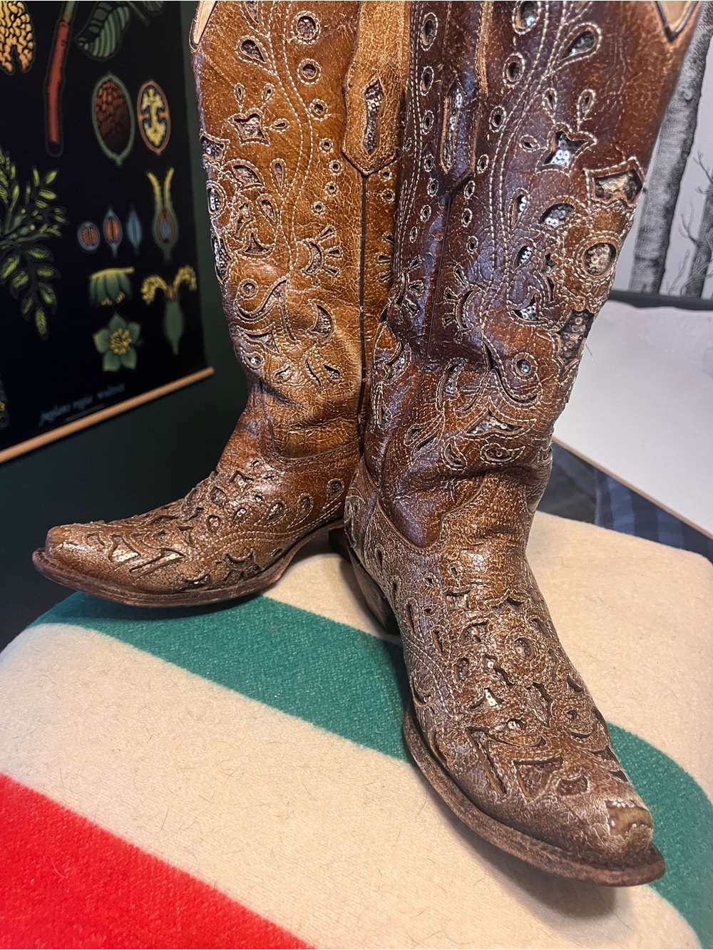 Brown Embroidered Leather Cowboy Boots -